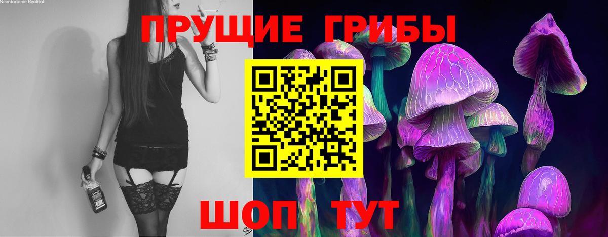 Псилоцибиновые грибы Magic Shrooms Баксан