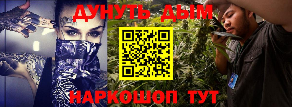 Канабис план Баксан